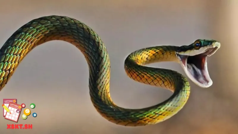 Số 32 trong lô đề có ý nghĩa gì? 