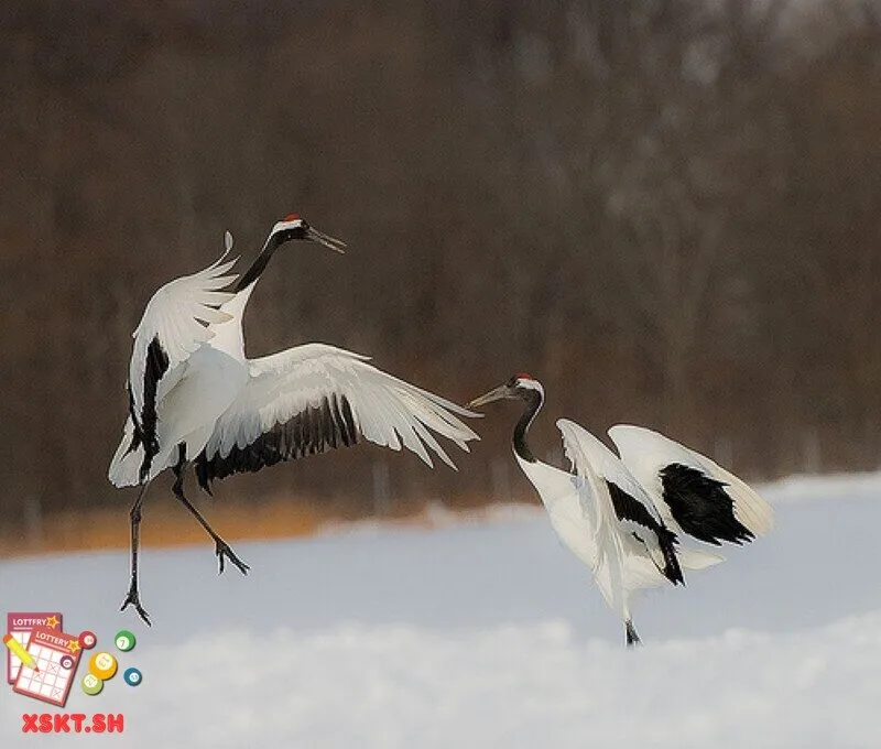 Con số 57 ẩn chứa điều gì?