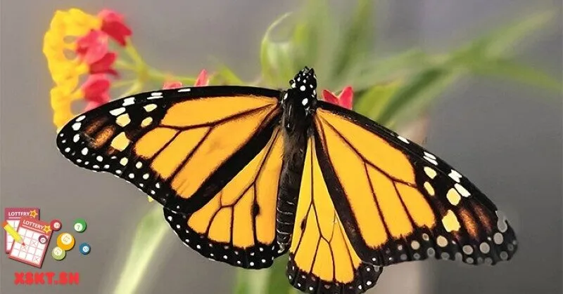 Số 59 thể hiện gì?