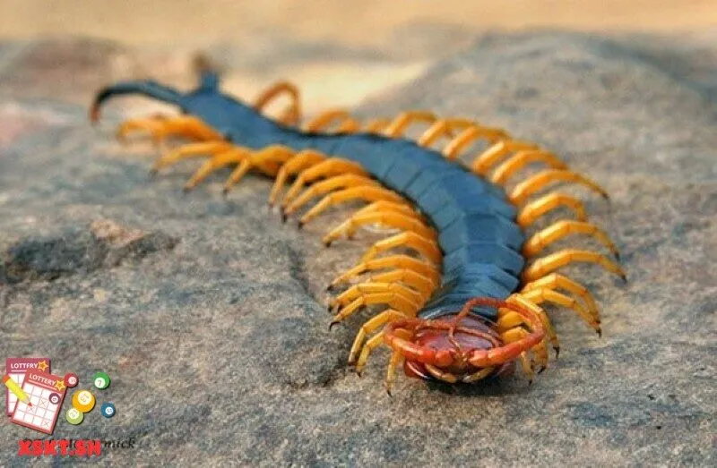 Ý nghĩa con số 60 